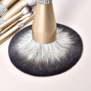 Factory New Glitter Rhinestones Makeup Brushes 12Pcs Premium Vegan Make up Kit with Beauty Case