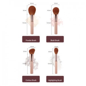 Private laebl Cruelty free 4pcs Face makeup brushes set