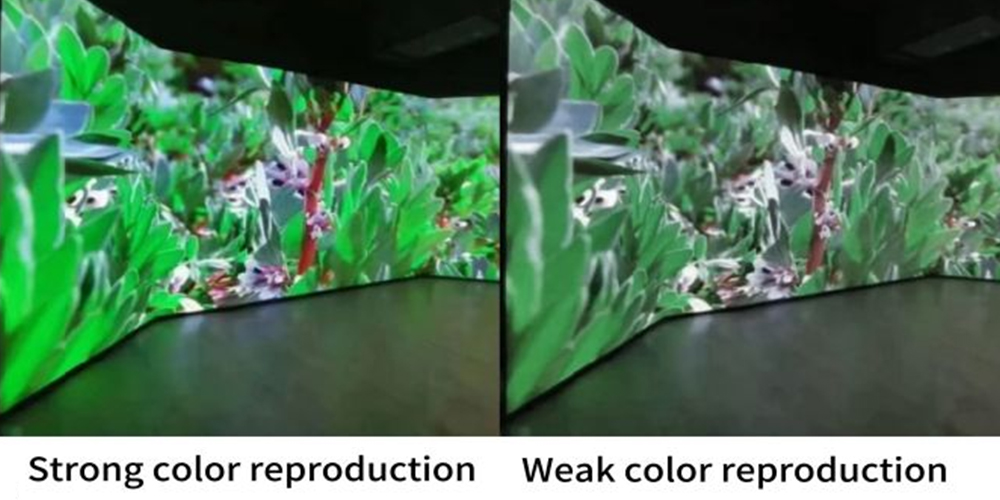 Rémanence d'image sur écran LED.jpg