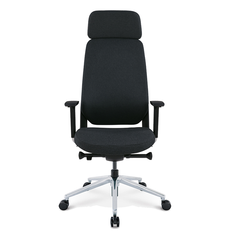 Flexible Lumbar Support Office Chair