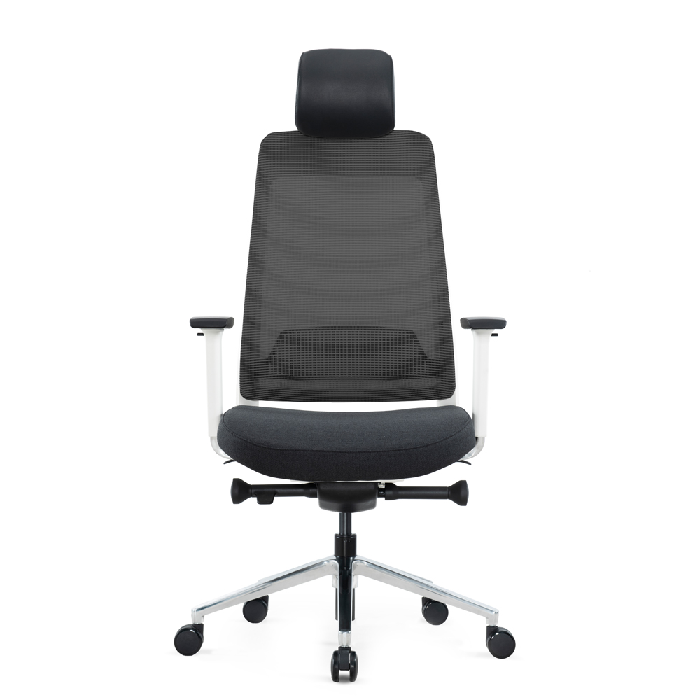 Ergonomic Executive Chair with 4D Armrests