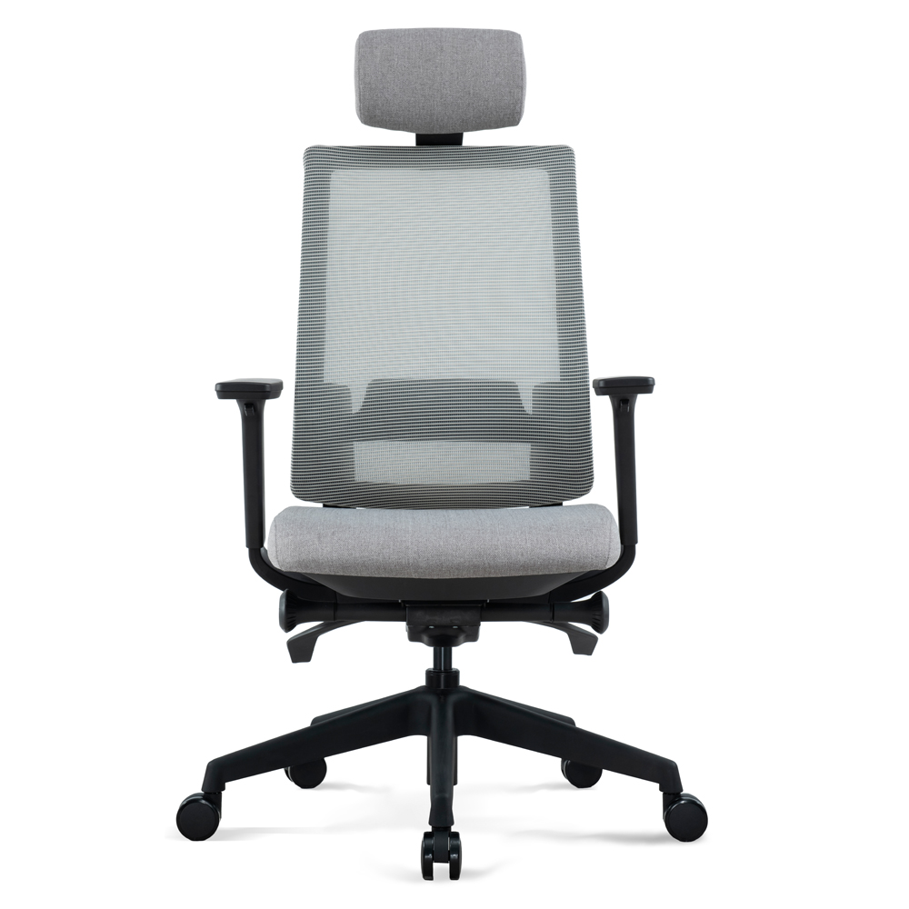 Goodtone Executive Swivel Office Desk Chair with Sliding Seating