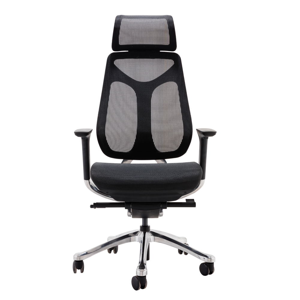 Goodtone Ergonomic office Chair with Adjustable Height and Breathable Mesh