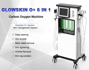 미장원을 위한 Glowskin O+ 피부 산소 피부 습기를 공급하는 놀 피부 RF 기계