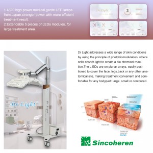 PDT LED Photodynamic Skin Care Beauty Equipment