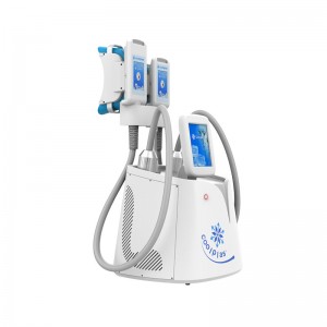2022 Nijste Portable Fat Freezing Cryo Therapy System Beauty Machine