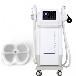 Emslim Salon Home Use Estetic Body Contouring Beautiful Muscle Ems Slimming Machine