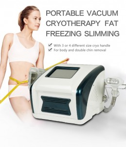 Portable 4 Handles Fat Freeze Body Slimming Device