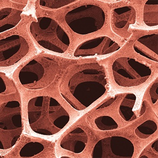Porous cell copper foam for fuel research