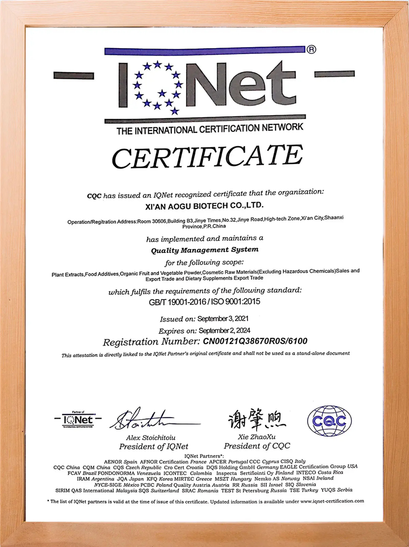 сертификат-6h2r