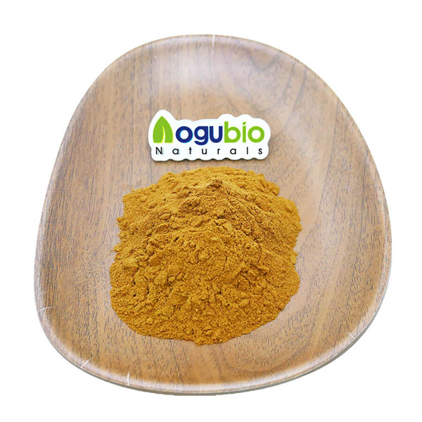 Wholesale bamboo extract bamboo leaf flavonoid