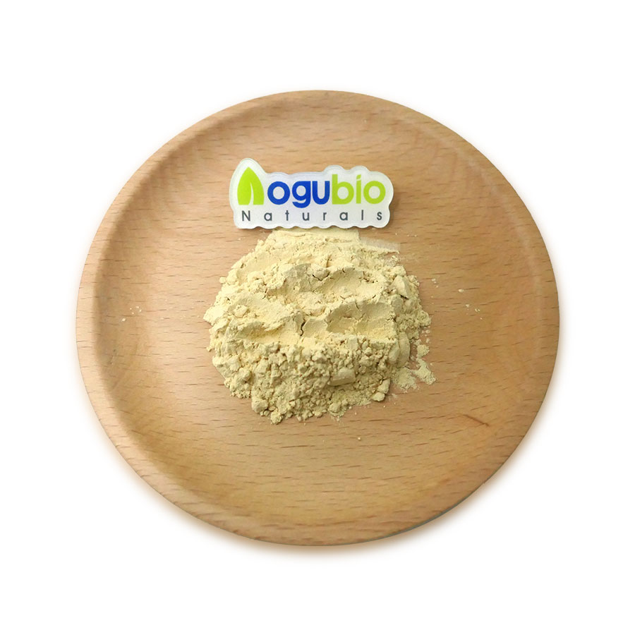 Soybean Extract Phosphatidylserine powder