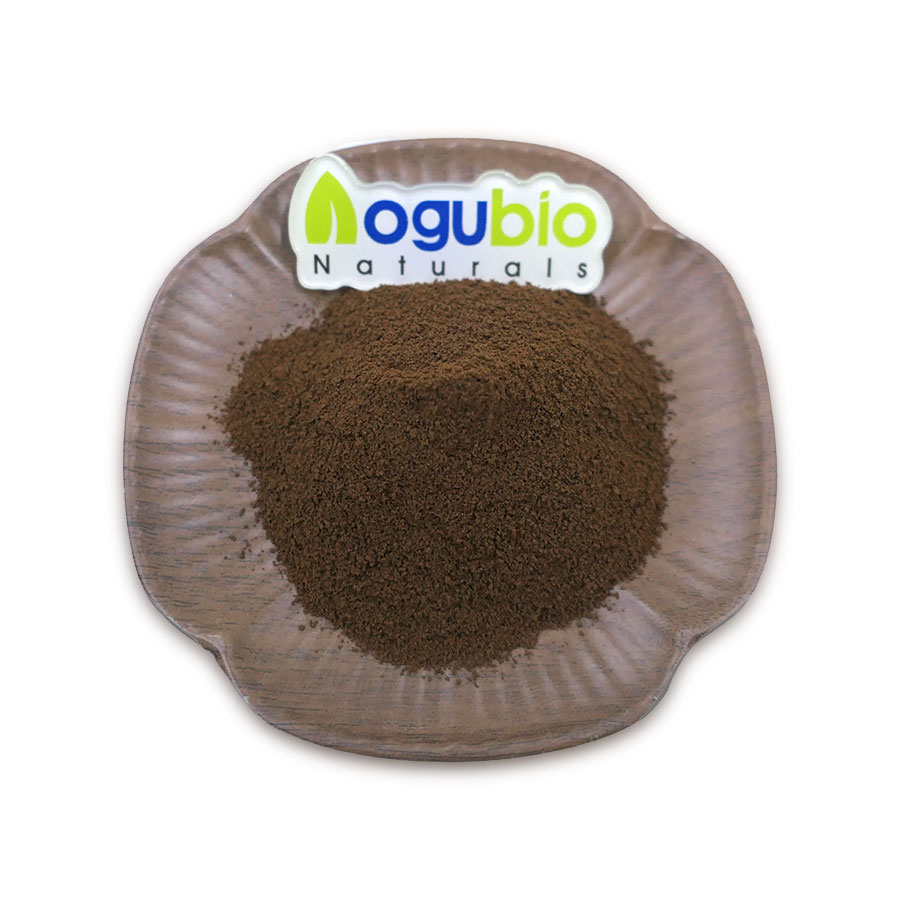 Immune Boosting Coffee Private Label Mushroom Blend Powder OEM Hot Sale Mushroom Coffee