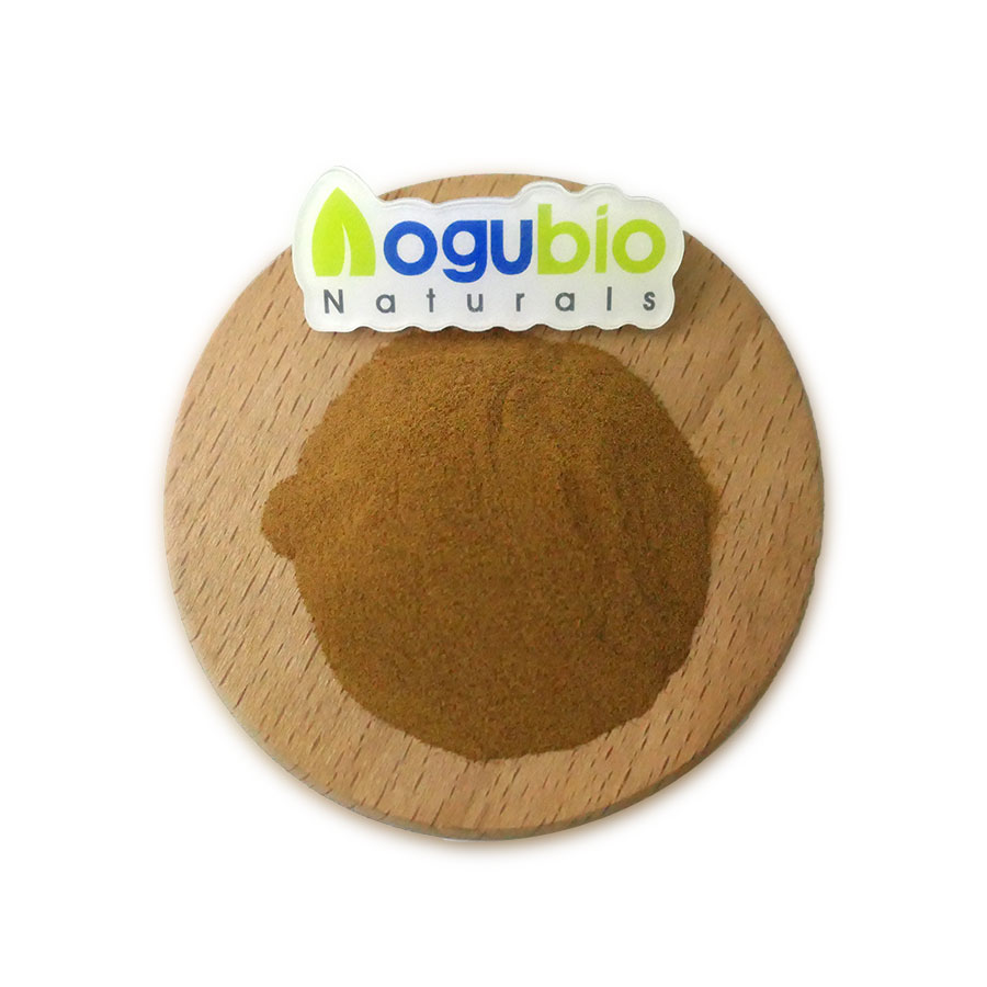 Organic Food Grade Soap Bark Powder Quillaja Saponaria Extract