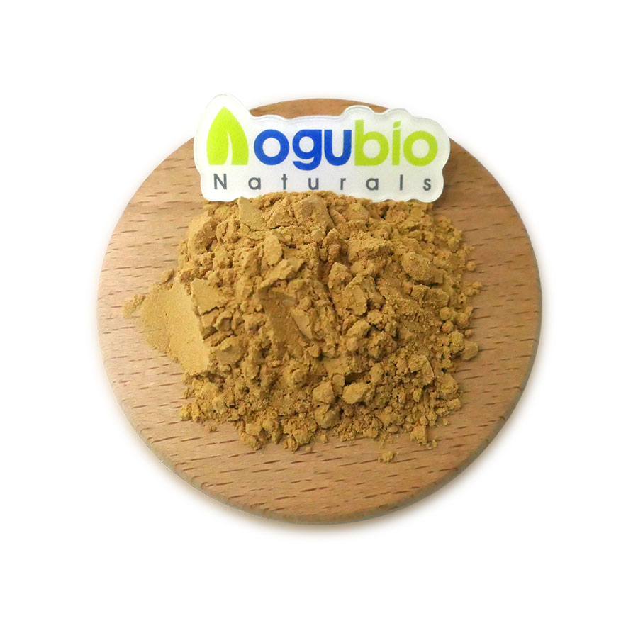High quality Buckwheat Extract/fagopyrum esculentum extract
