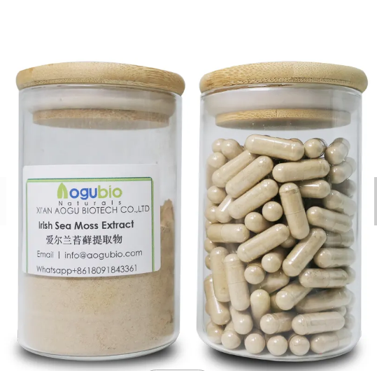 Pure Irish Moss Extract/ Sea moss Bladderwrack Extract Powder/ ပင်လယ်ရေညှိဆေးတောင့်