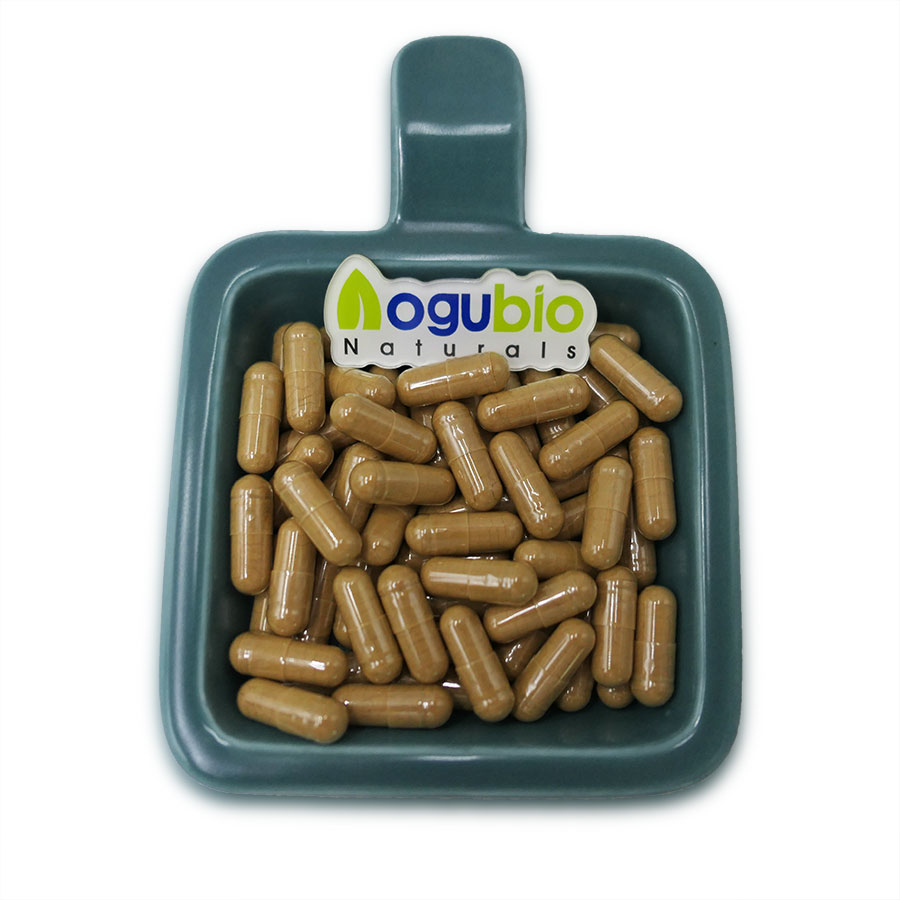 ម្សៅចំរាញ់ចេញពី fadogia agrestis ធម្មជាតិ 100% / fadogia agrestis capsules