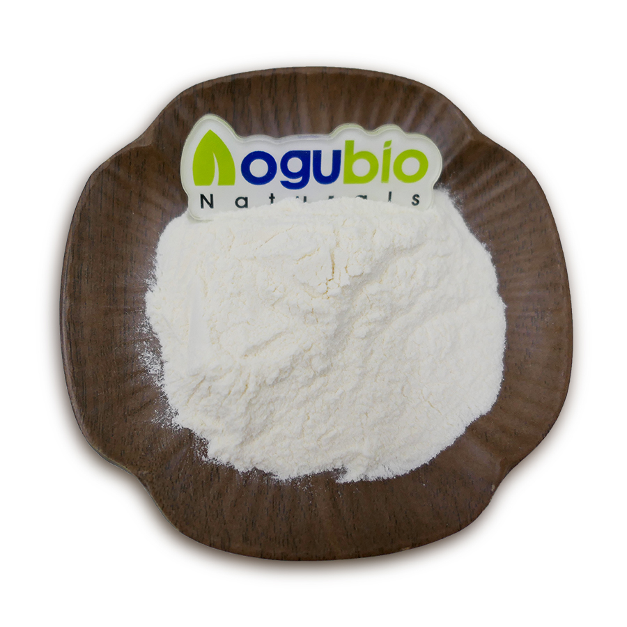 Natrual White Kidney Bean Extract Phaseolin Powder