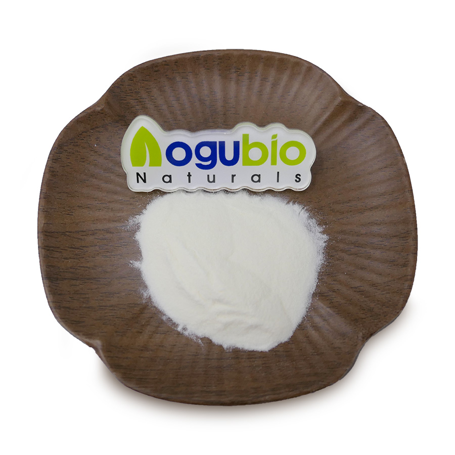 High Quality Food Grade 10,000U/G Lactase Enzyme Powder