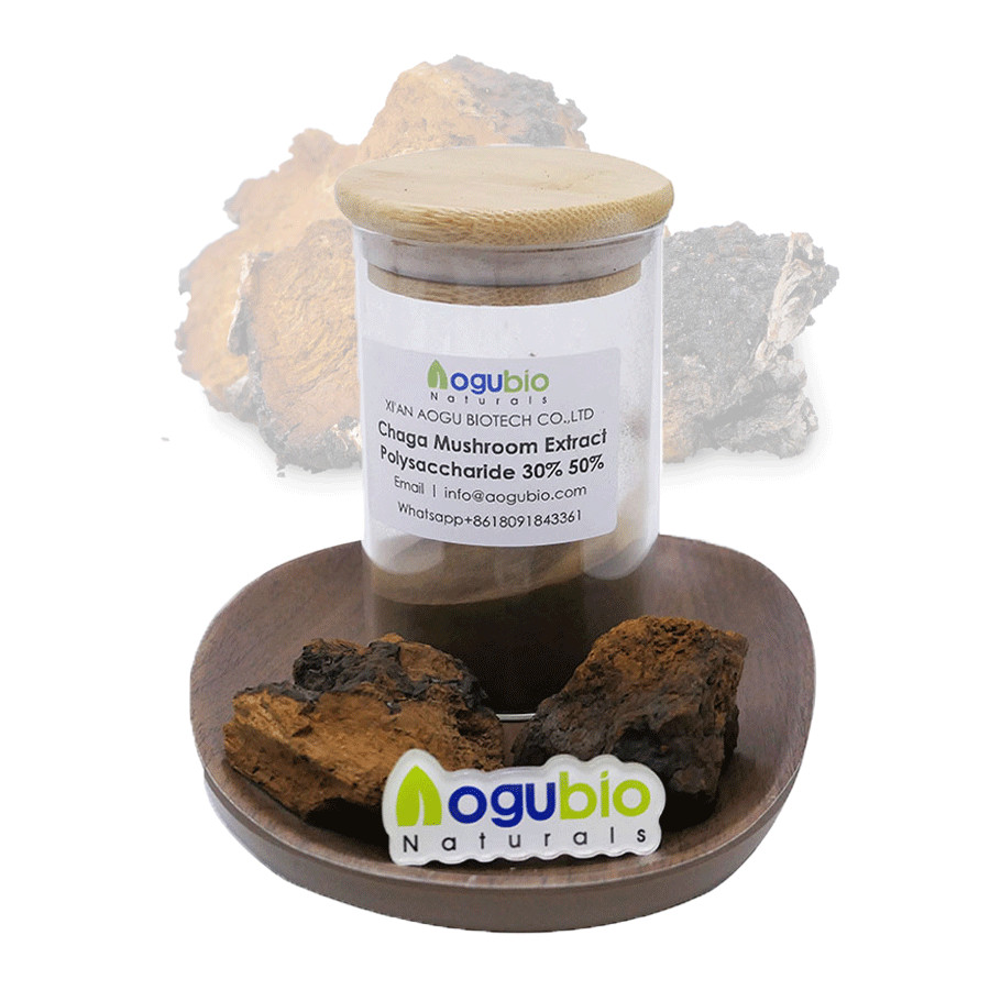 USDA Organic Wild Chaga Mushroom Extract Powder