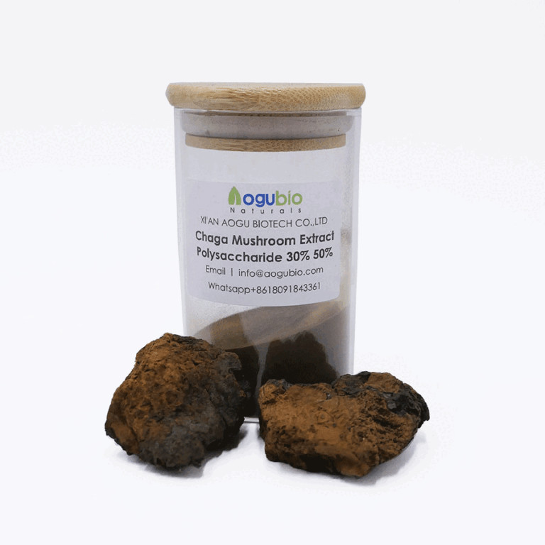 USDA Organic Wild Chaga Mushroom Extract Powder
