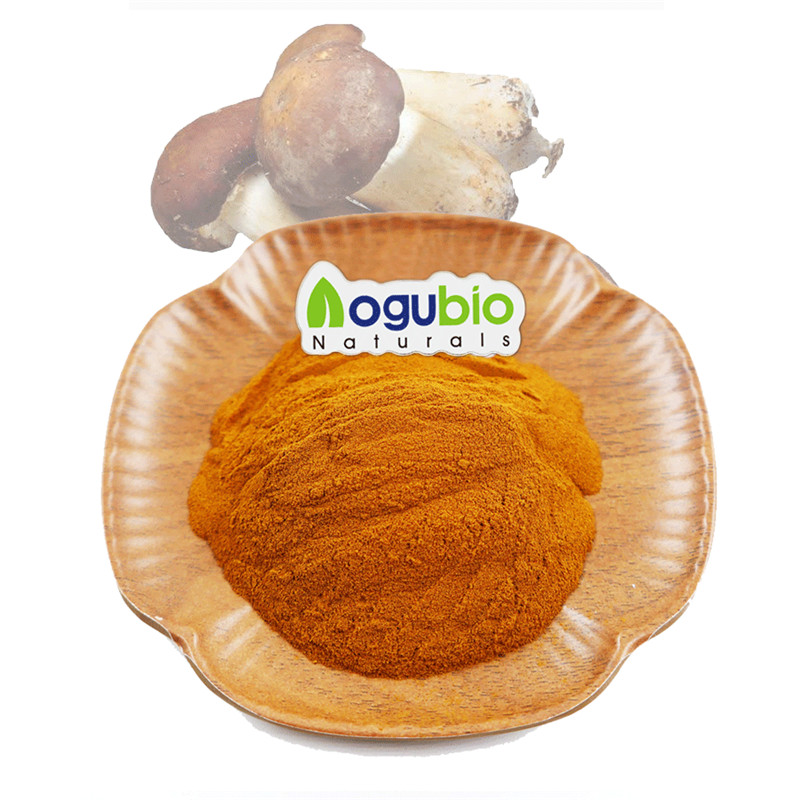 Organic Agaricus blazei vovoka Tsy GMO, tsy misy gluten