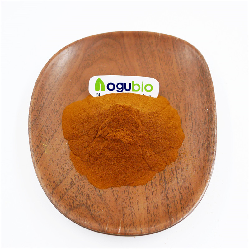 Organický extrakt z Pleurotus 30% prášek