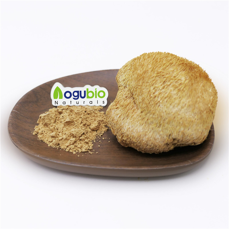 100% USDA certified organic Lion's Mane Mushroom Powder
