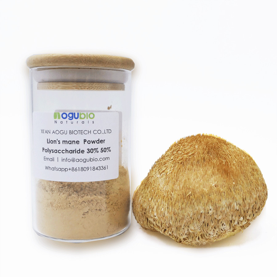 organic Lion's Mane Mushroom Extract polysaccharide 30%-50%