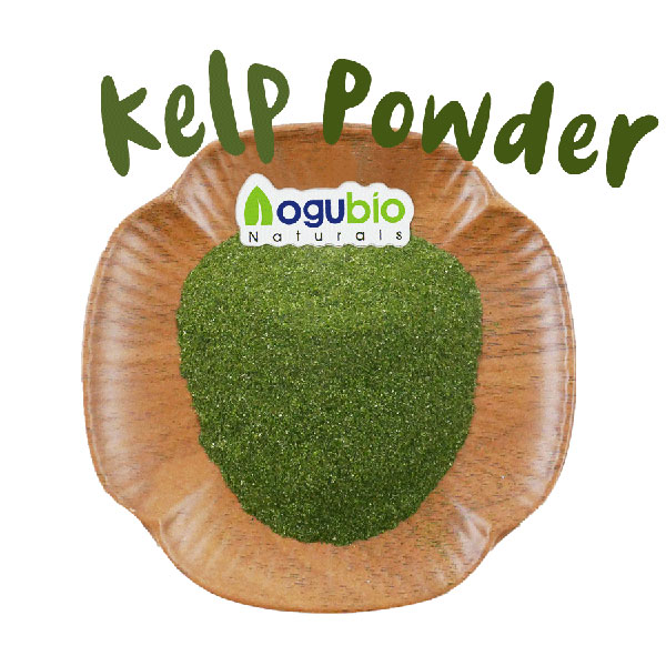 Pure Natural 100% Kelp Exrtact Powder
