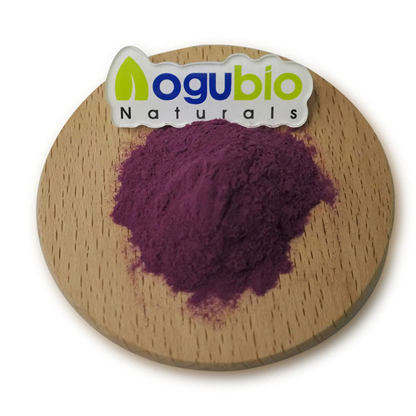 Natural Food Grade Blueberry Extract Powder