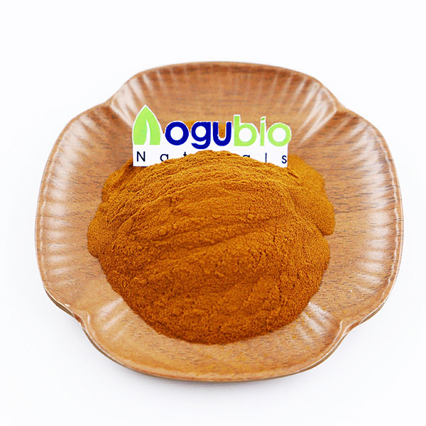 Pure Natural Apple Extract Powder