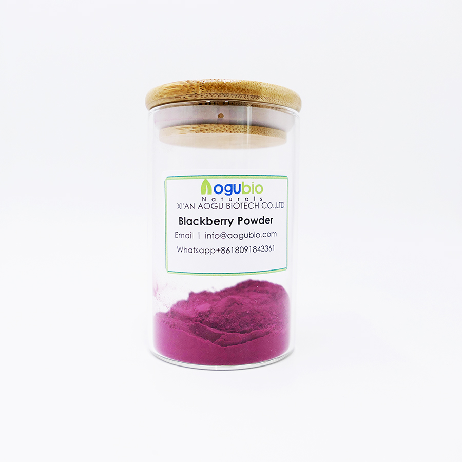 100% Pure Organic BlackBerry Juice Extract powder