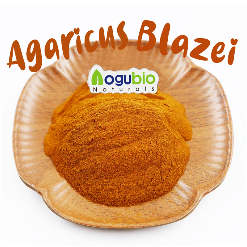 කාබනික Agaricus Blazei කුඩු තොග GMO නොවන, ග්ලූටන් රහිත
