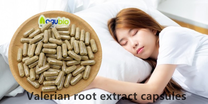 How Valerian Root extract Helps You Relax and Sleep Better