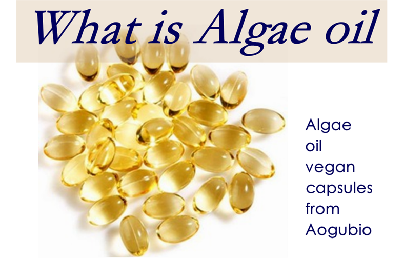What Is Algae Oil, and Why Do People Take It?