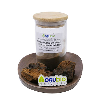 Extract natural de ciuperci Chaga 100% organic de la AOGUBIO