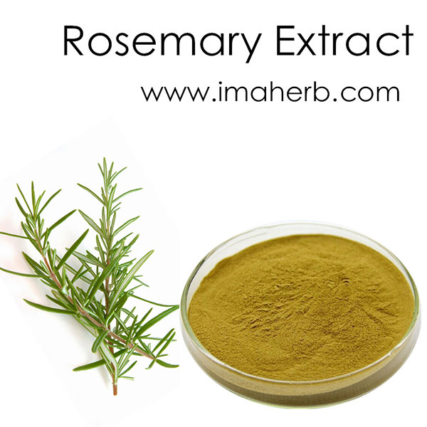 Aogubio Supply Ekstrak Rosemary Asid Carnosic/Rosmarinic Acid/ursolic Acid
