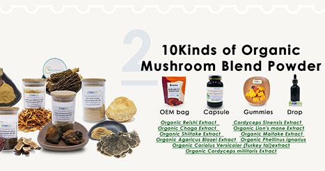 Ce este pudra de extract de ciuperci și ce poate face pentru tine?