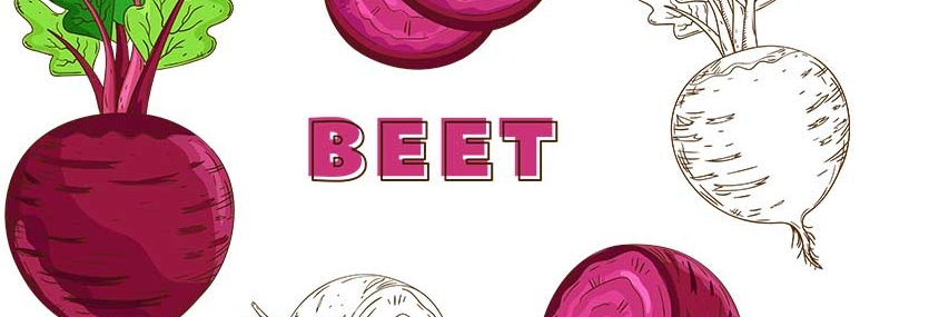 The Power of Beet Root: A Nutritional Powerhouse