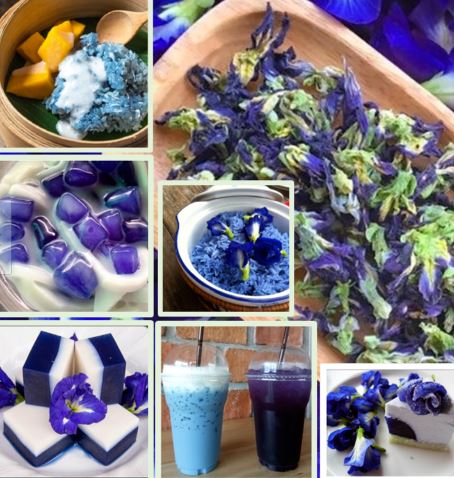 What is Butterfly pea flower powder?