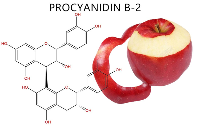 What is PROCYANIDIN B-2 (extracted from apples)？