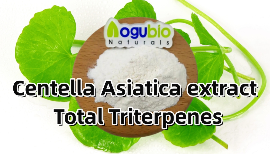 Centella Asiatica extract Total Triterpenes 2