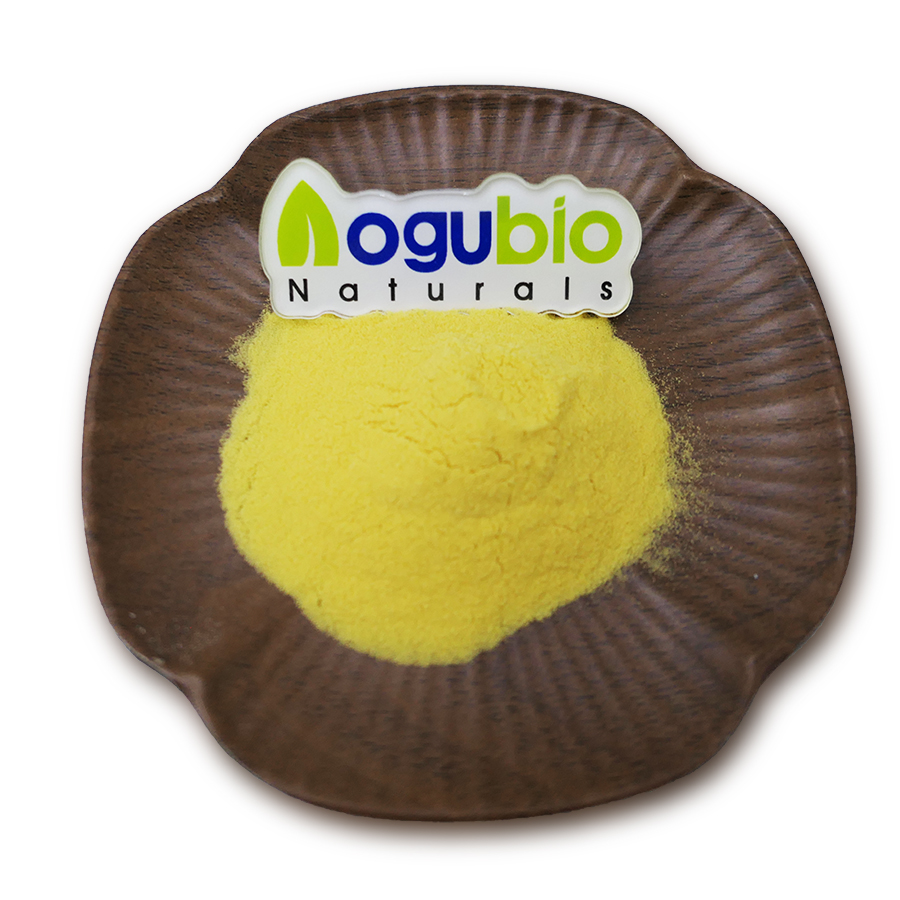 Hot sale Natural freeze dried mango fruit powder
