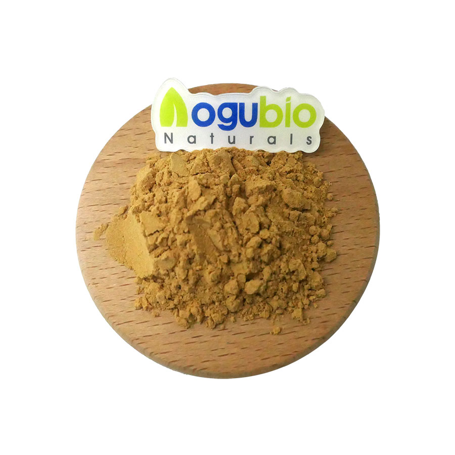 100% Organic Amla Juice Powder Kuti Mulimbikitse Chitetezo Cham'mimba, Digestion & Detoxification