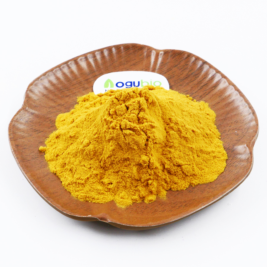 high quality Ginkgo Biloba Extract Powder