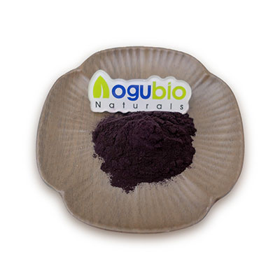 High quality Bilberry Extract powder