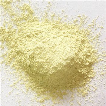 Pure Sophora Japonica Extract Powder 95% Rutin