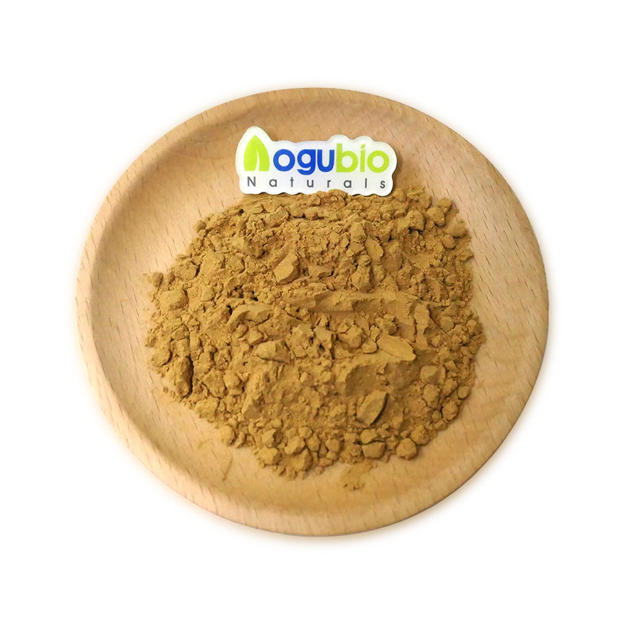 Εκχύλισμα φύλλων Lotus Hot Selling Waterδιαλυτό Nuciferine 2% Lotus Leaf Extract Powder