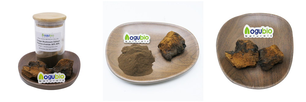 0ganic Reishi musroom extract powder2